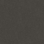 Darling Cove Domino Medium