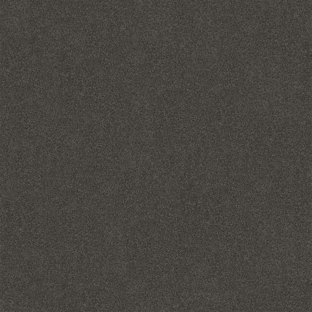 Darling Cove Domino Medium