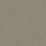 Darling Cove Grey Tint Medium