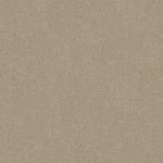 Darling Cove Parchment Medium