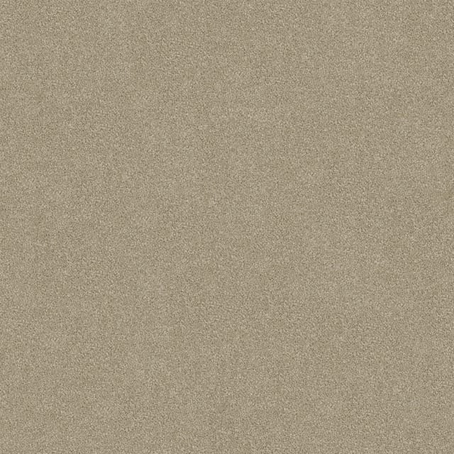 Darling Cove Parchment Medium