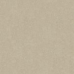 Darling Cove Peanut Stipple Medium