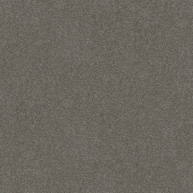 Darling Cove Pewter Stipple Medium