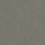 Darling Cove Silver Blade Medium