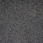 Dianella Oasis Medium