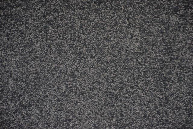 Dianella Oasis Medium