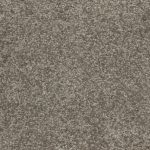 Dianella Winterwood Medium