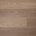 District Col. Spotted Gum