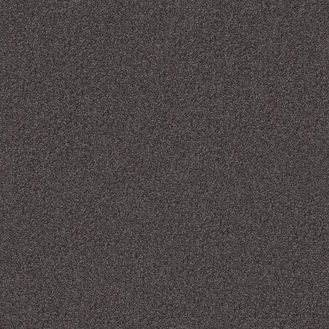 Domain Rise Dark Shades