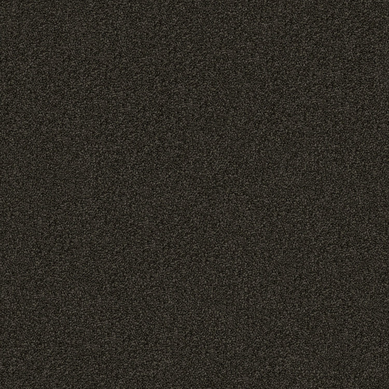 Domain Rise Iron Gate