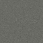 Domain Rise Koala Grey