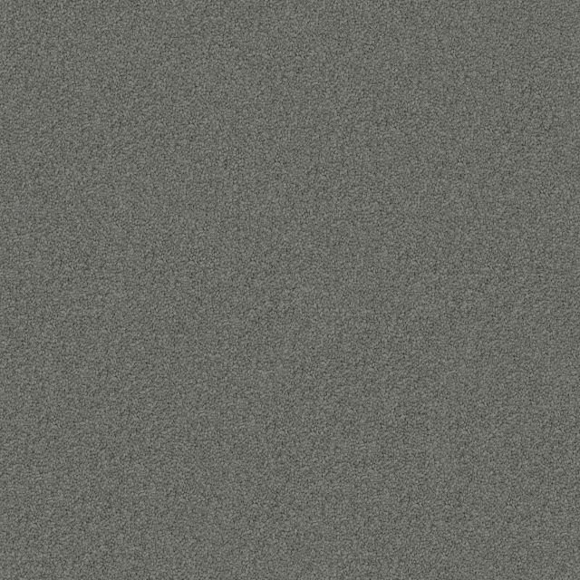Domain Rise Koala Grey