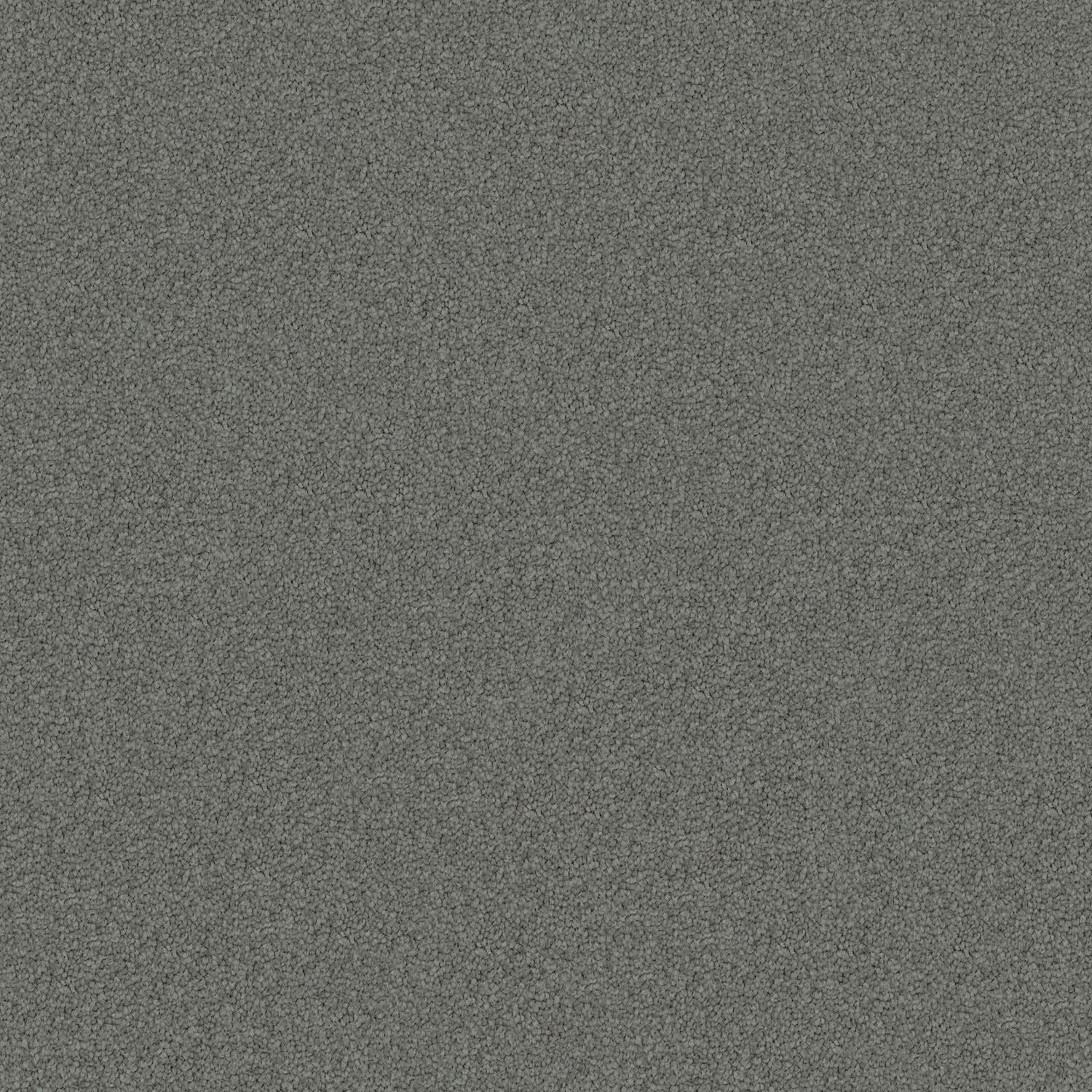 Domain Rise Koala Grey