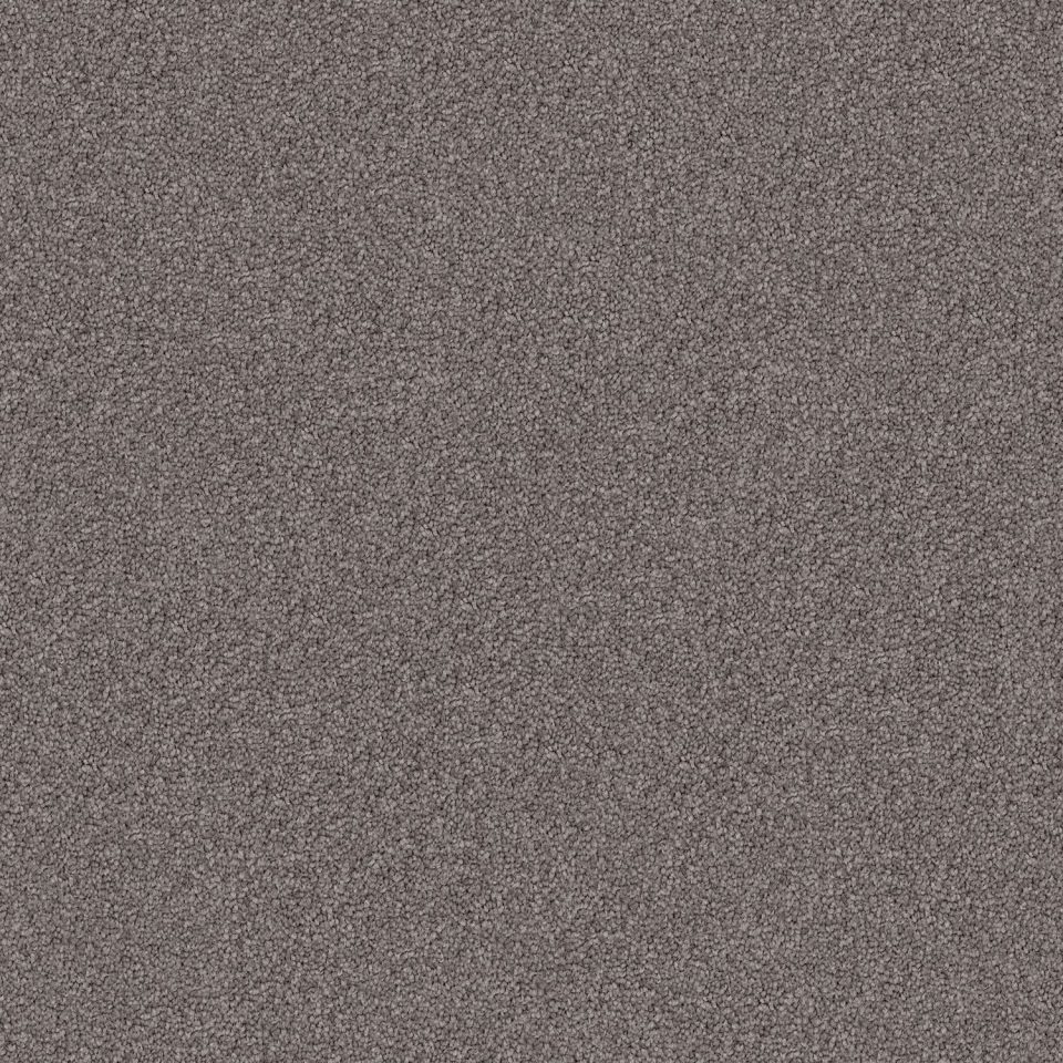 Domain Rise Carpet