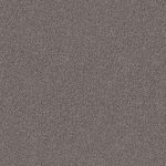 Domain Rise Playful Shadows