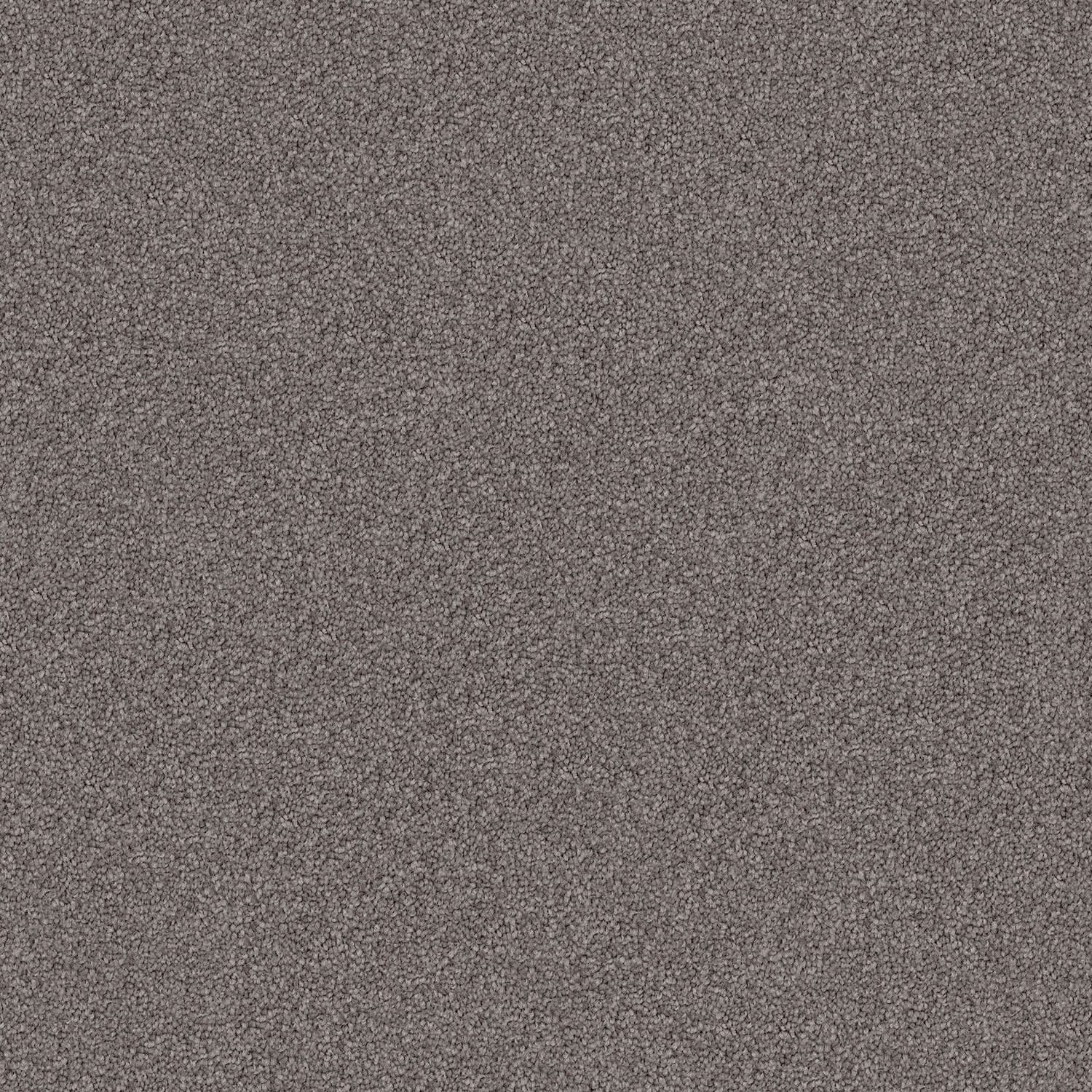 Domain Rise Playful Shadows