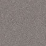 Domain Rise Quicksilver