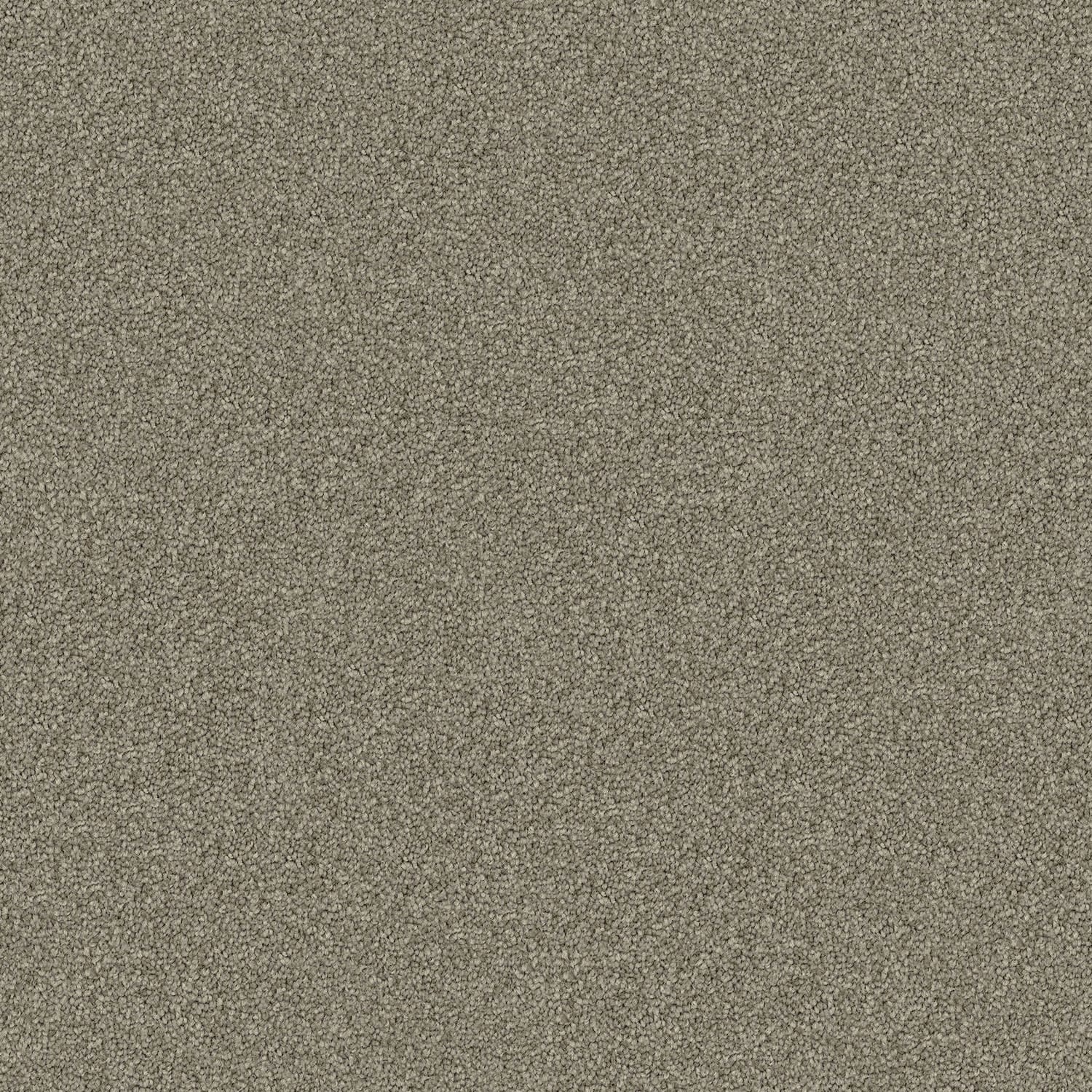 Domain Rise Smoke Haze