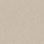 Domain Rise Toasted Coconut