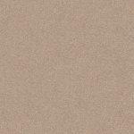 Dream Shadows 12 Yardbird Large