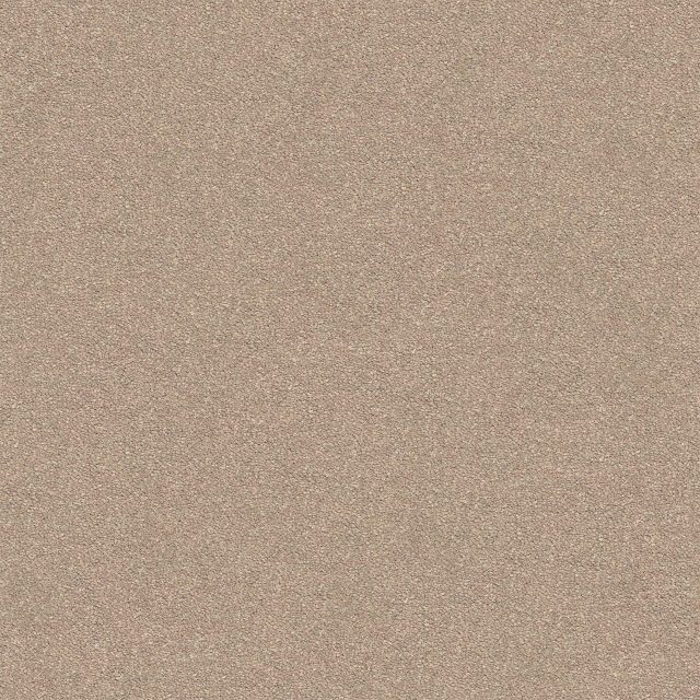 Dream Shadows 12 Yardbird Large