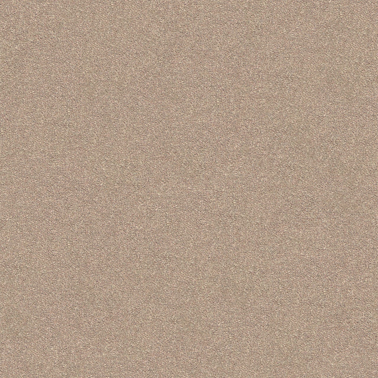 Dream Shadows 12 Yardbird Large