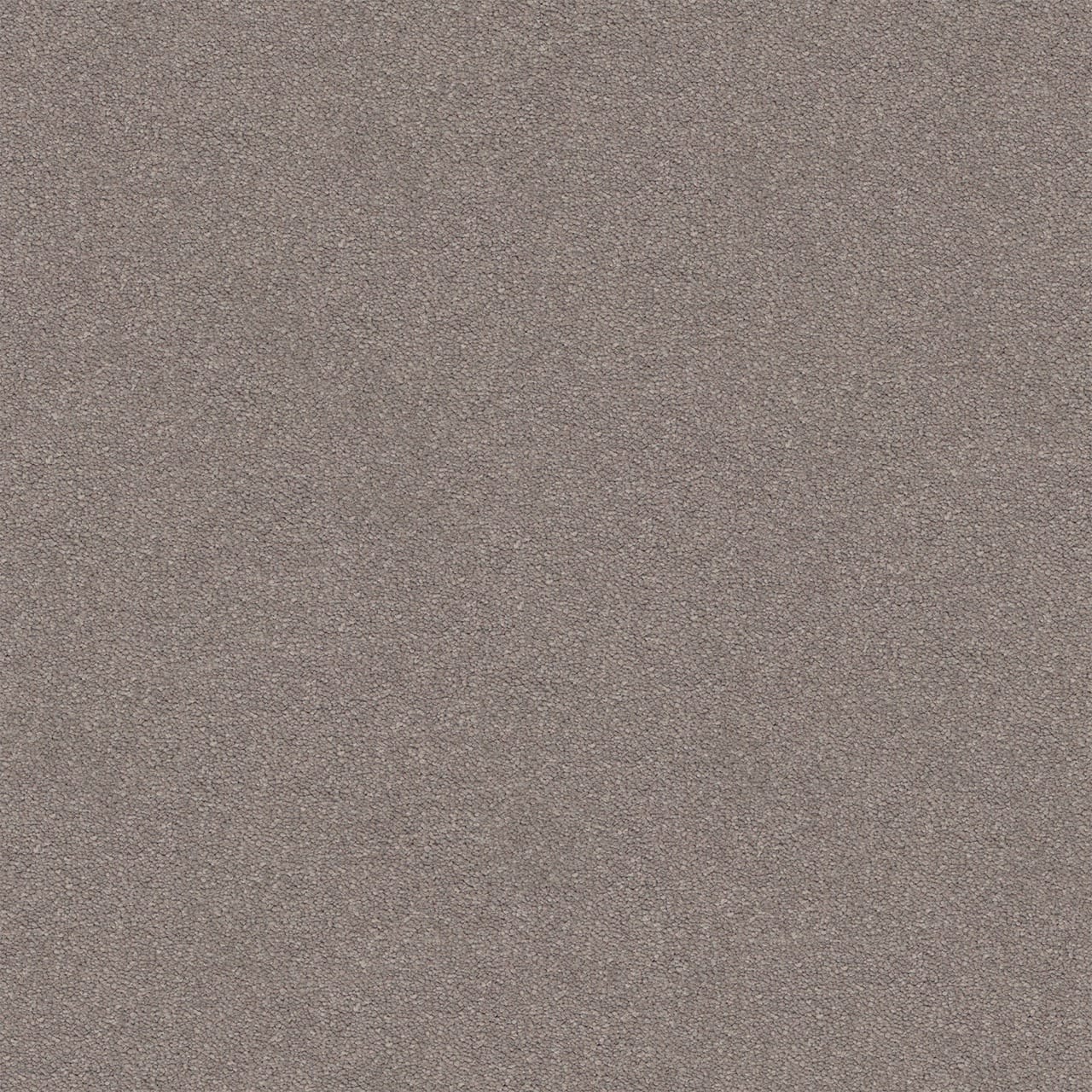 Dream Shadows 4 Bison Large