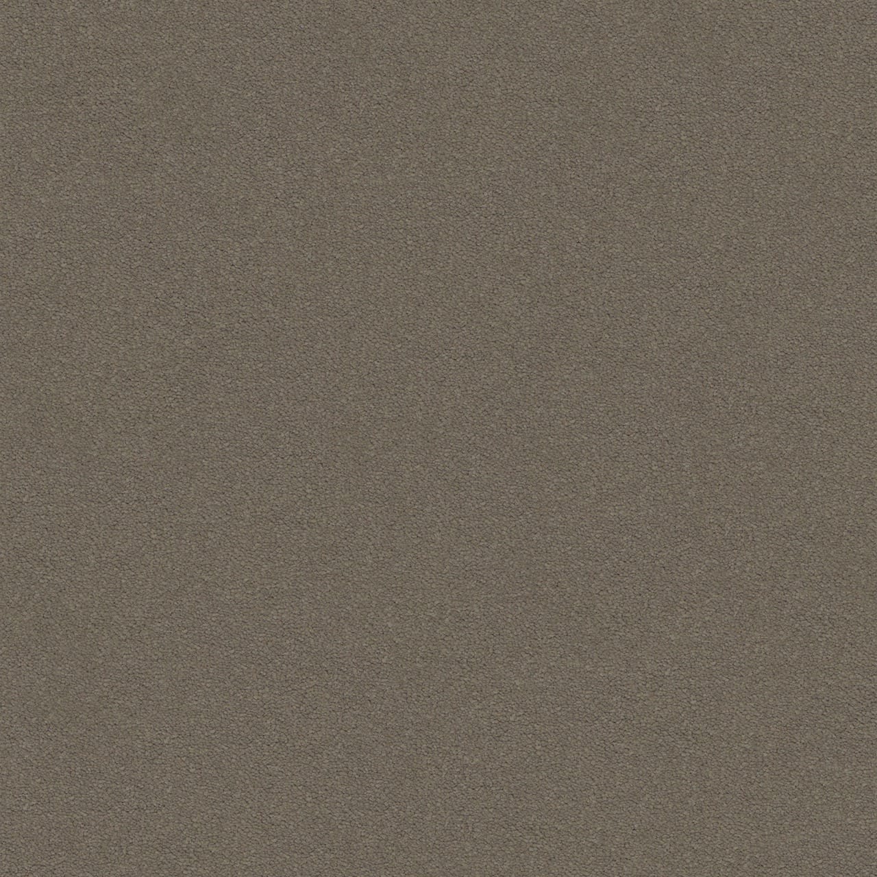 Dream Shadows 44 Nutmeg Large