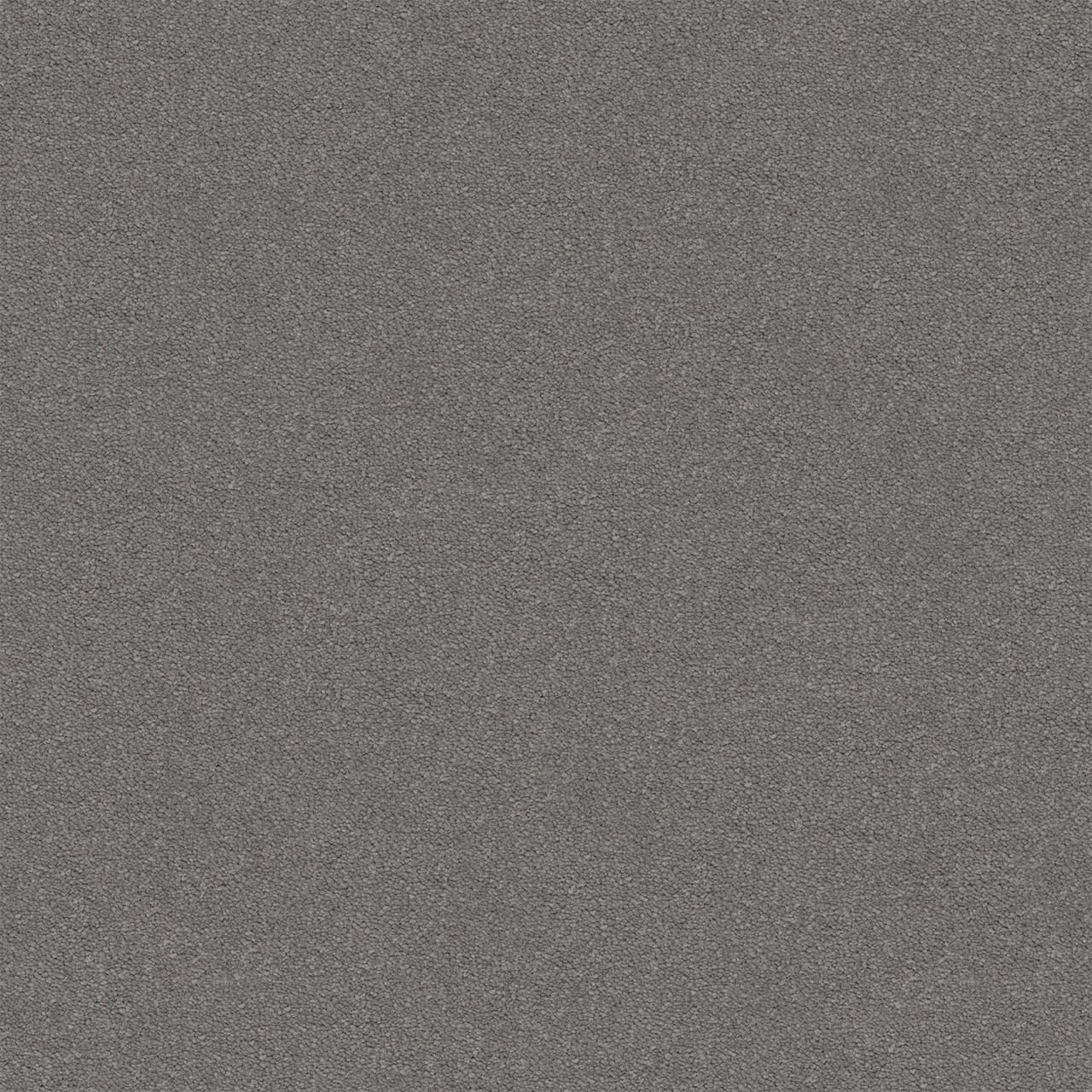 Dream Shadows 94 Wayward Large