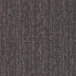 Evolve Black Rhino Medium