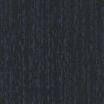 Evolve Peacock Medium