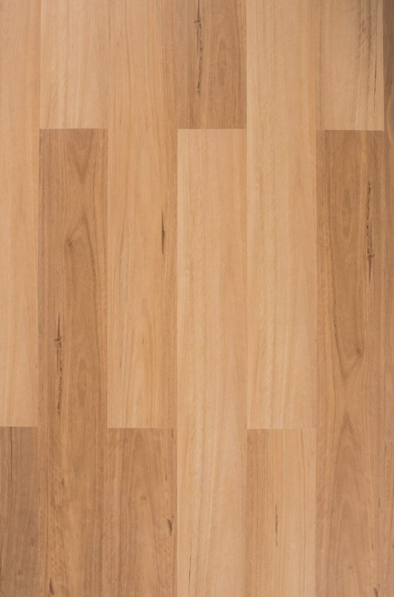 Elegant Hybrid 6.5mm Coastal Blackbutt