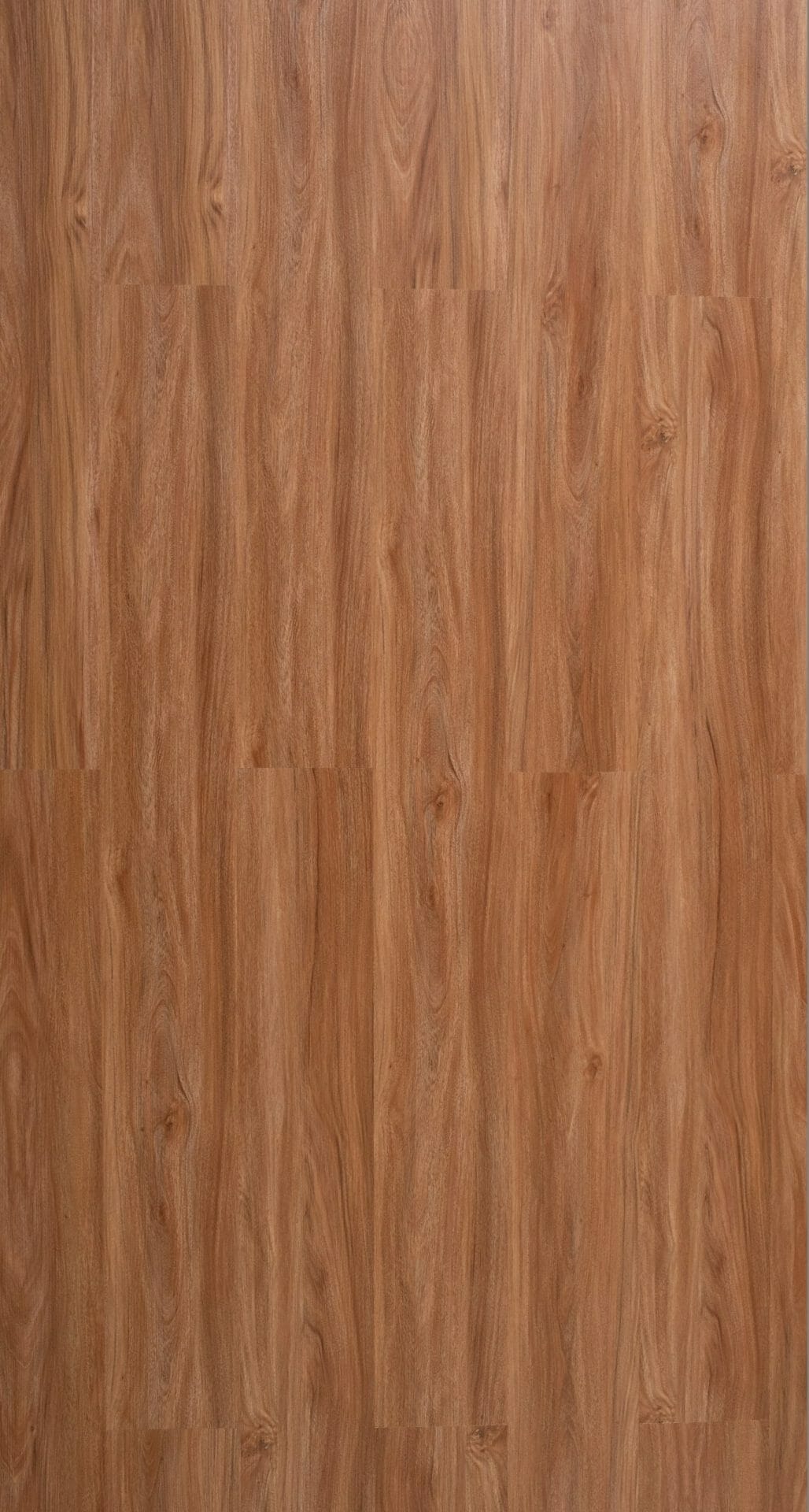 Elegant Hybrid 6.5mm Nsw Spotted Gum