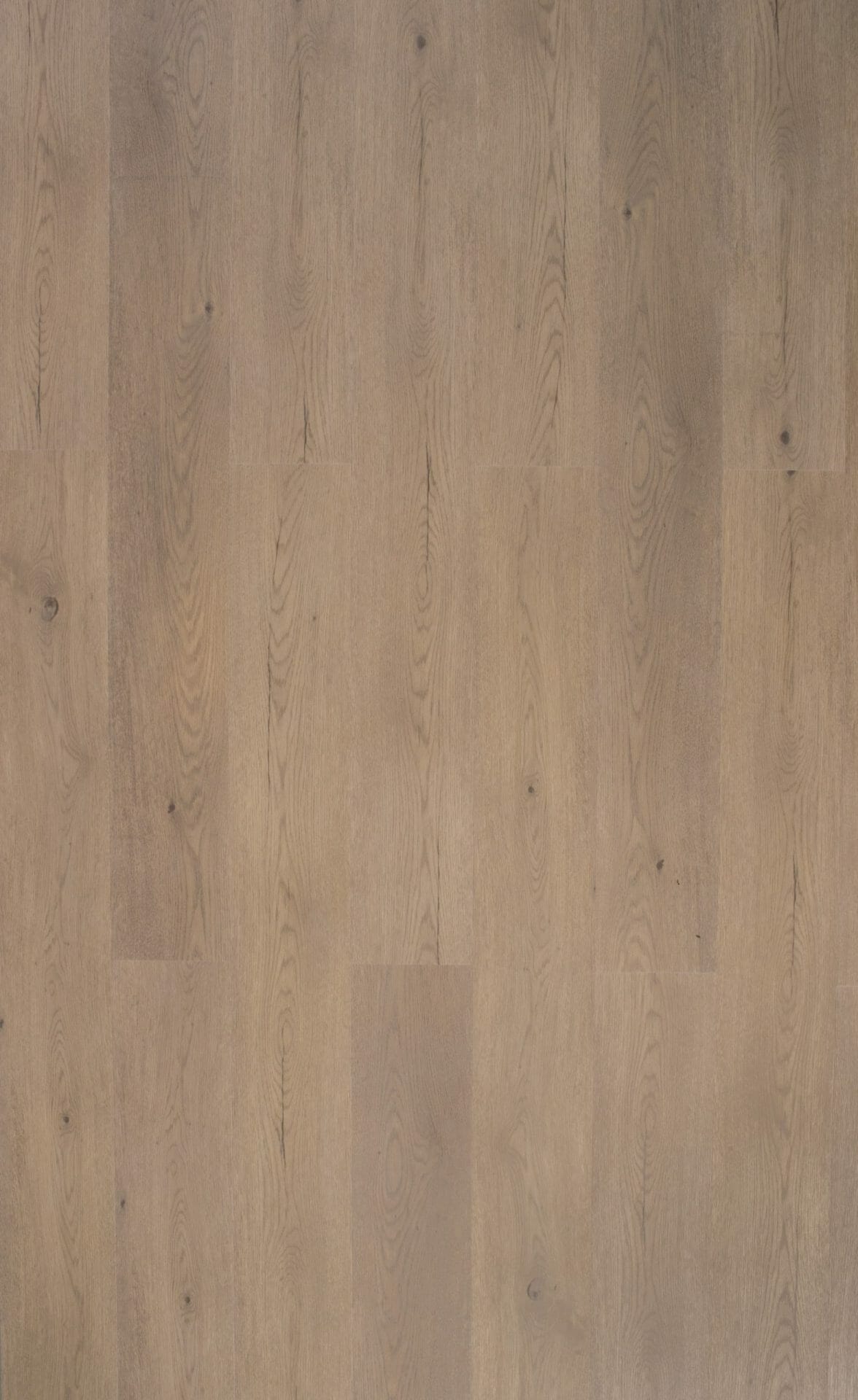 Elegant Hybrid 6.5mm Pale Sand