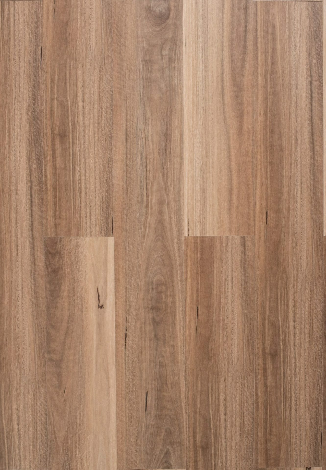 Elegant Hybrid 6.5mm Spotted Gum