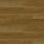 Enchant Instalaltion Large