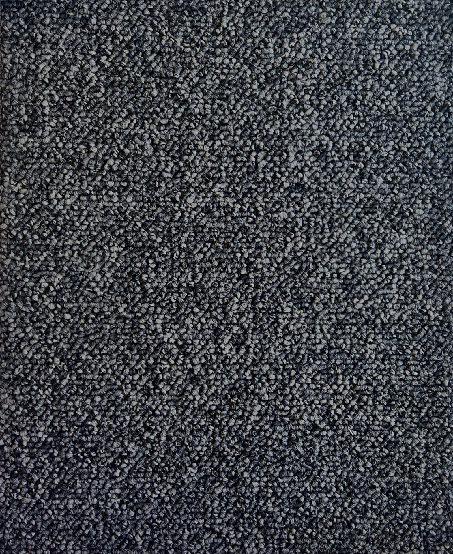 Encoutner Col. Botany