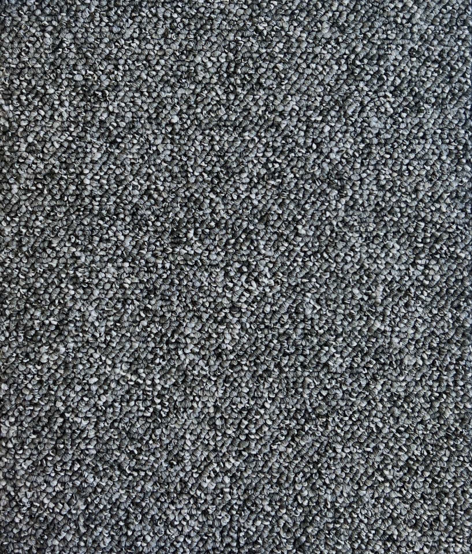 Encoutner Col. Pontoon