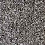 Encoutner Col. Shorebird