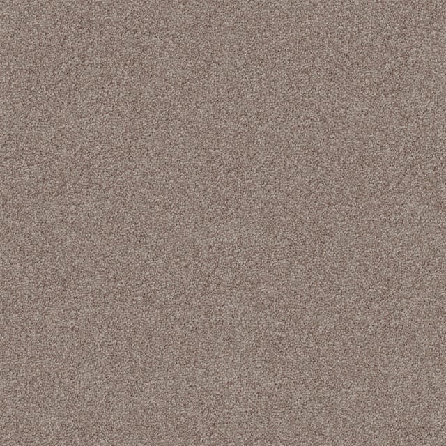 Endless Charm Soft Suede Medium