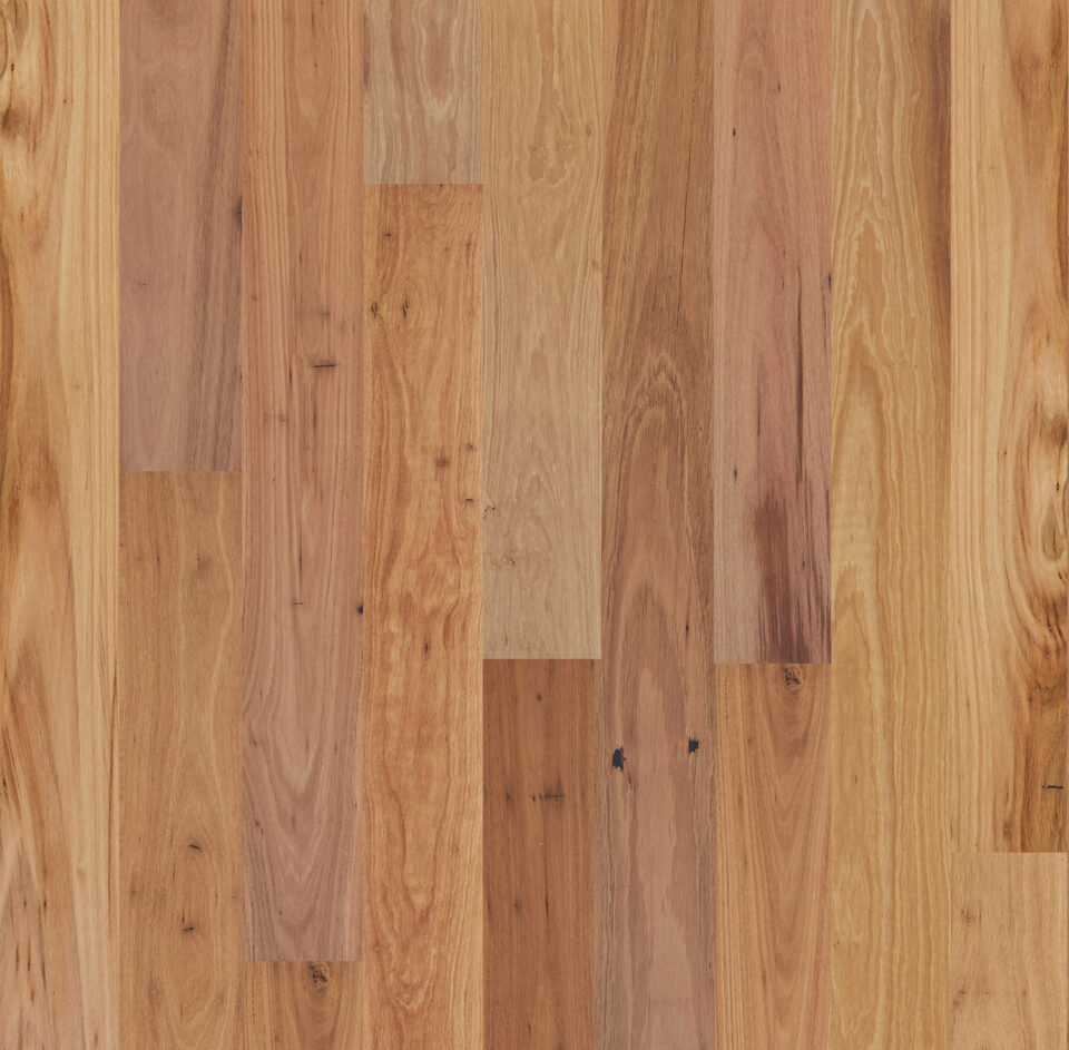 Eucalypt Collection Engineered Timber Flooring