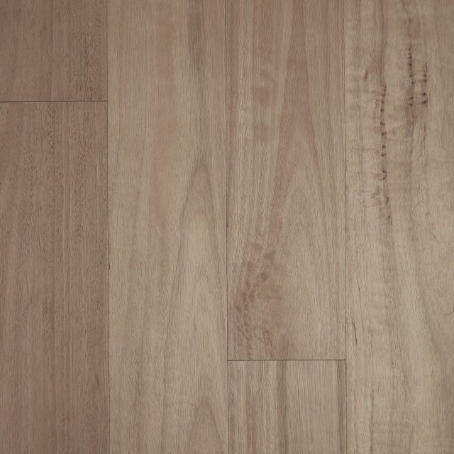 Fiddleback Blackbutt Brushed Matte