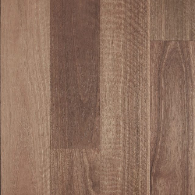 Fiddleback Spotted Gum Brushed Matte