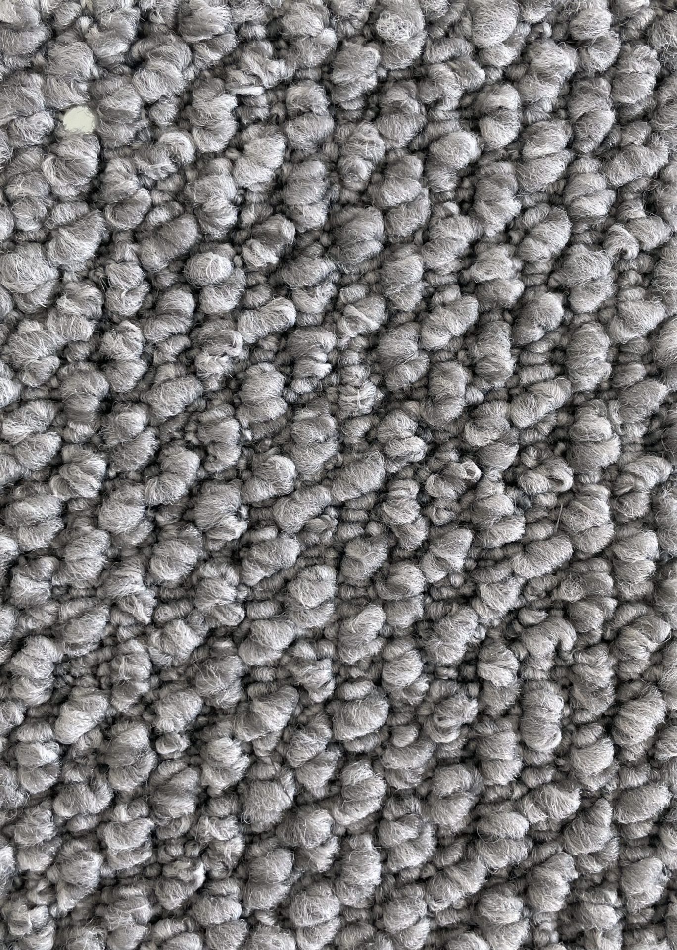 Flinders Gorge Col. Amyton