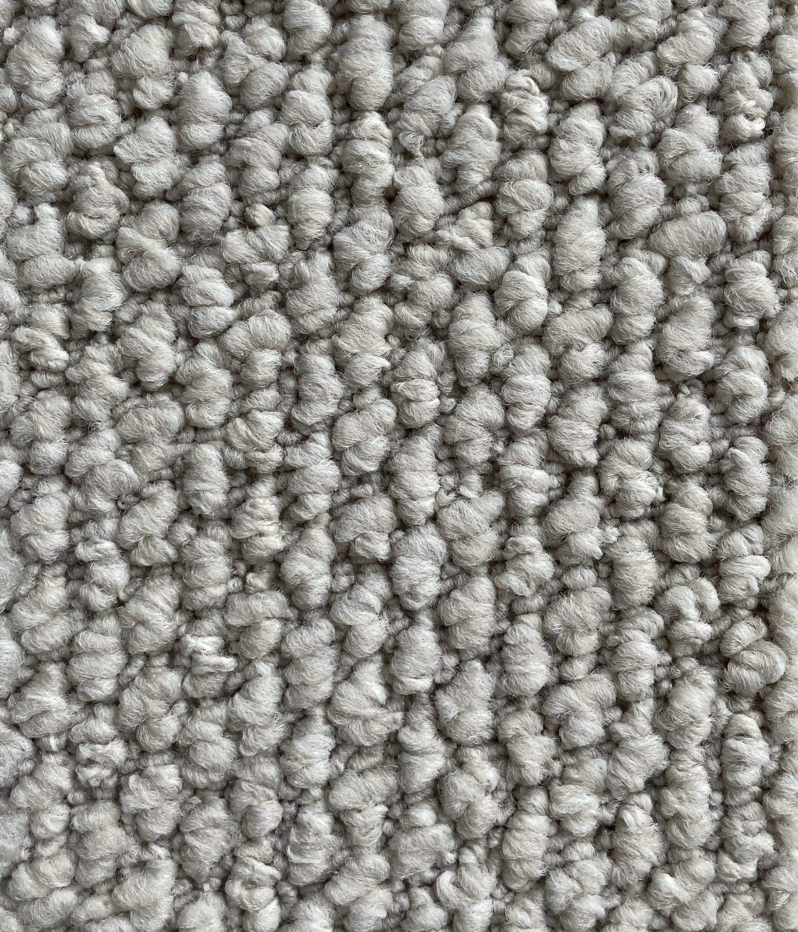 Flinders Gorge Col. Blanche