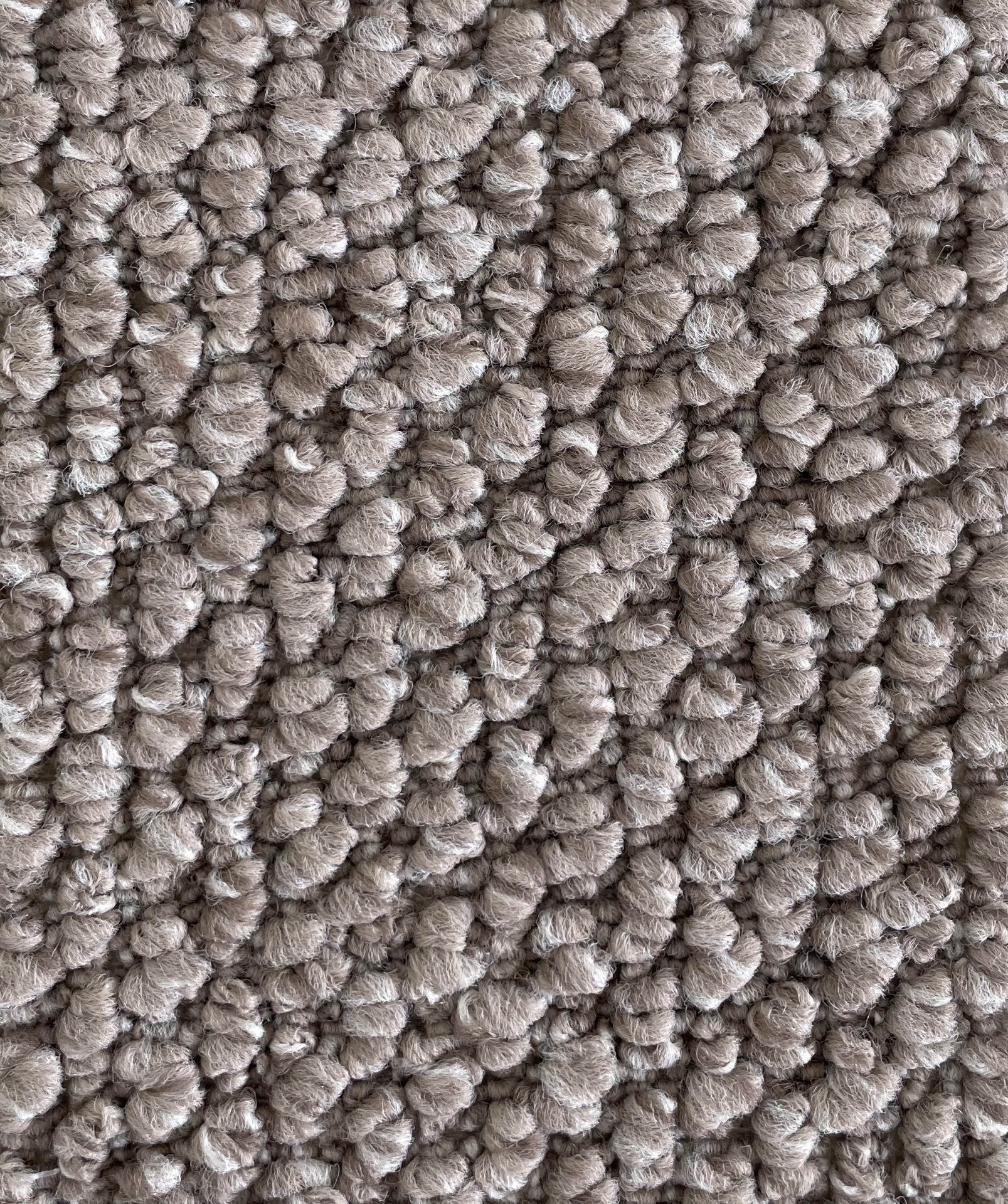 Flinders Gorge Col. Wilpena