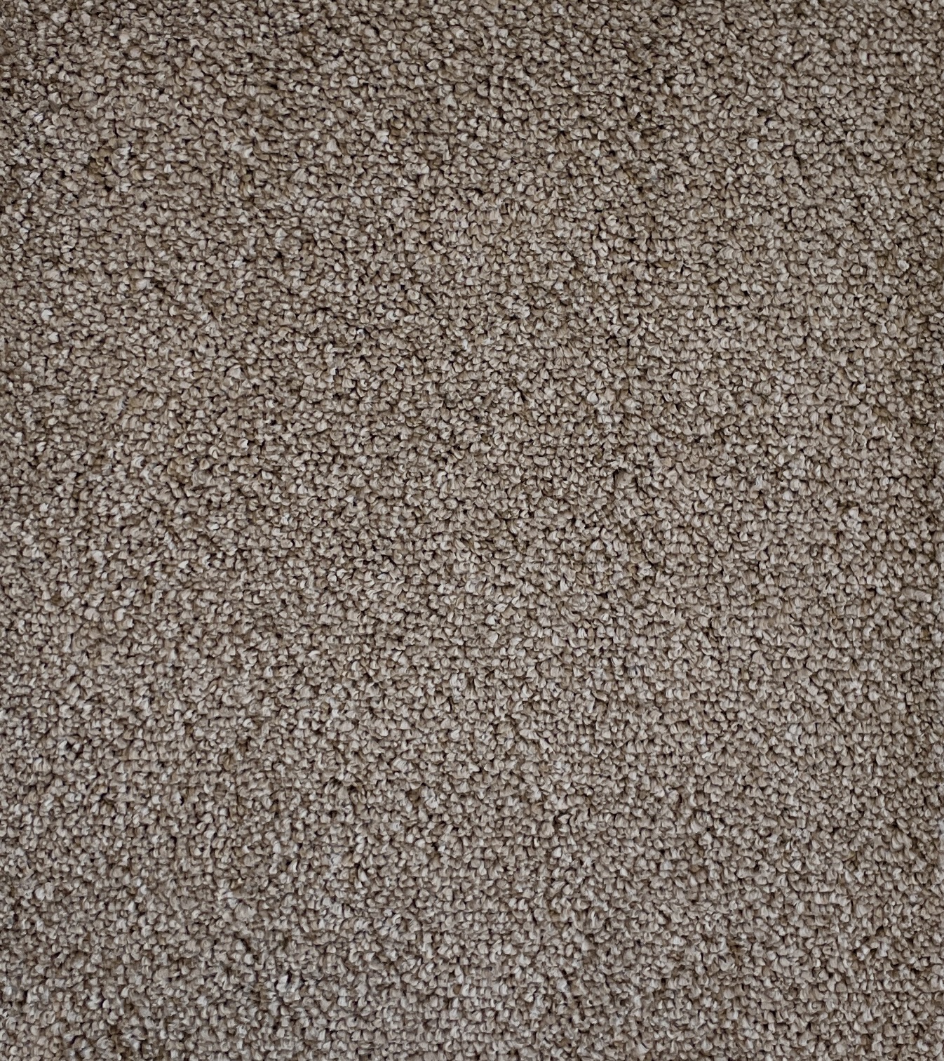 Groovy Max Col. Coastal