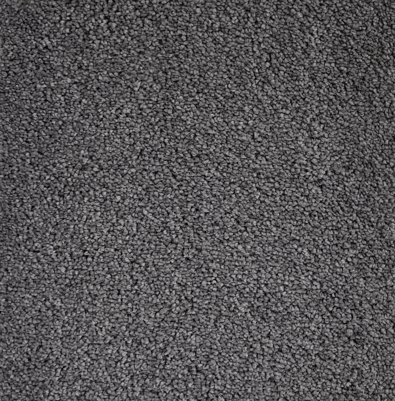 Groovy Max Col. Moon Dust