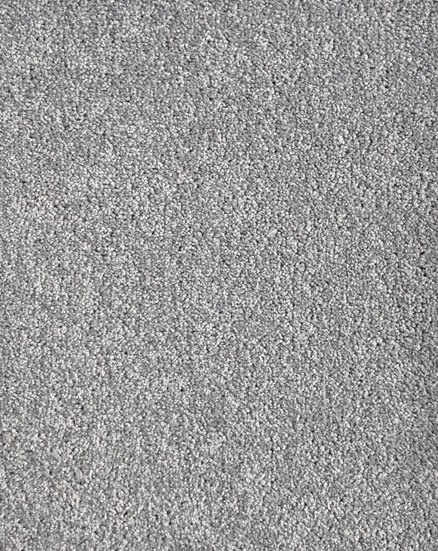 Eclipse Col. Elanus Grey