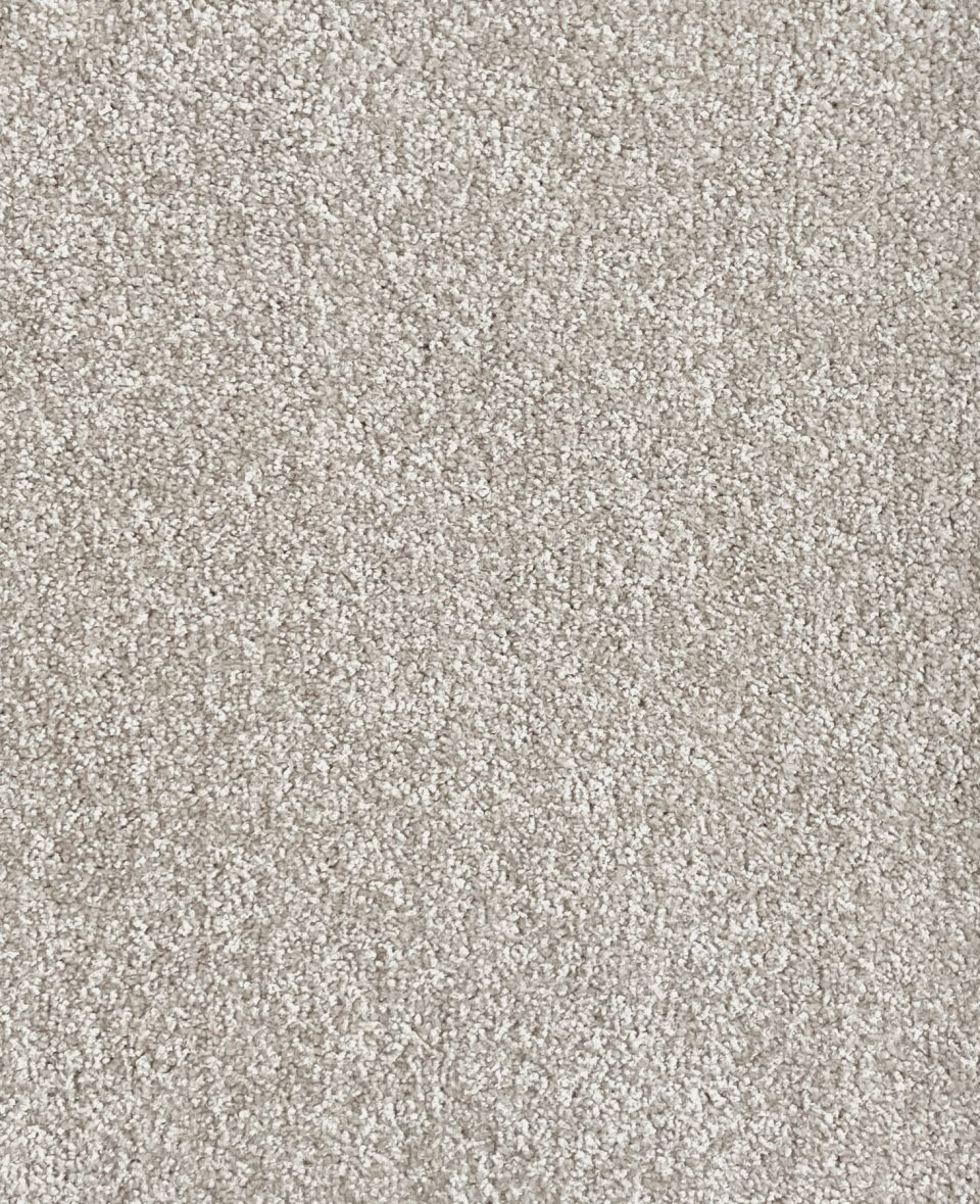 Eclipse Carpet